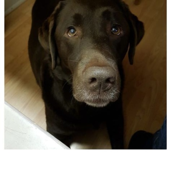 Meet your Posher, Tracey - Picture 1 of 1